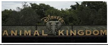 UM POUCO DOS PARQUES DE ORLANDO - DISNEY'S ANIMAL KINGDOM  